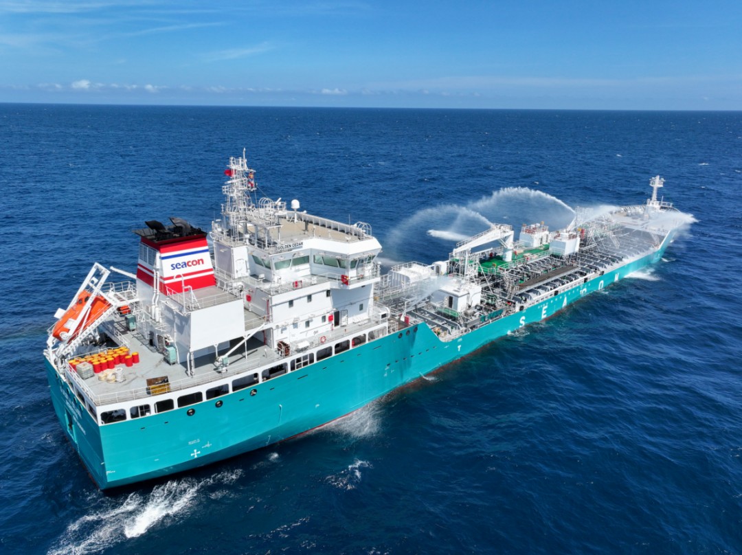 Southampton Arrival: GOLDEN CEDAR        