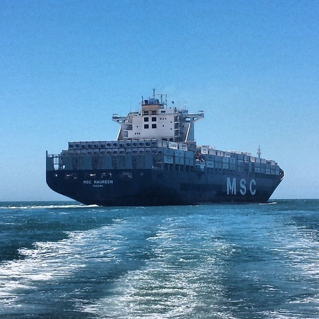 Transit: MSC MAUREEN          entering English South Coast at The Dover Strait