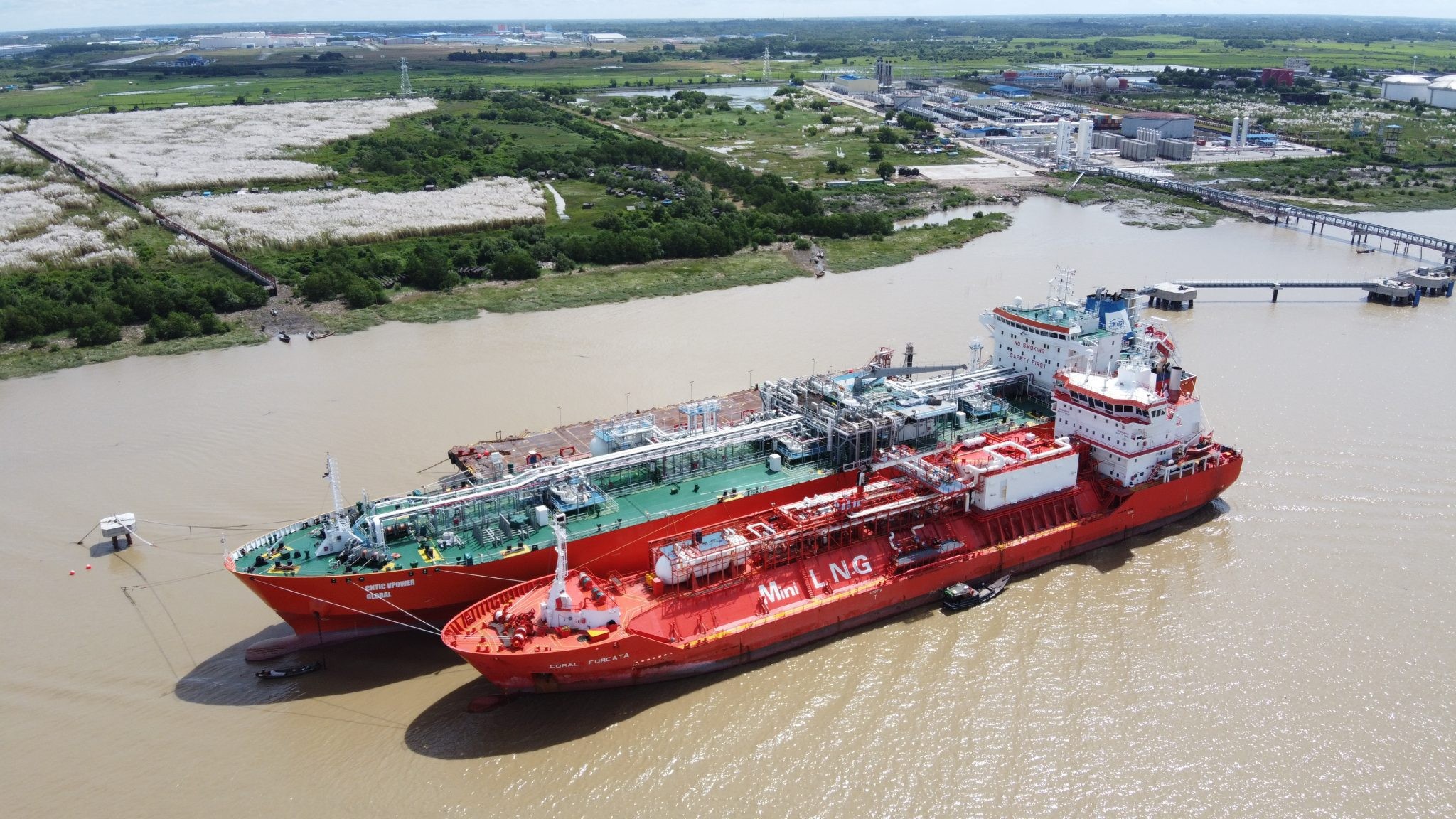Transit: CORAL FURCATA        entering English South Coast at The Dover Strait