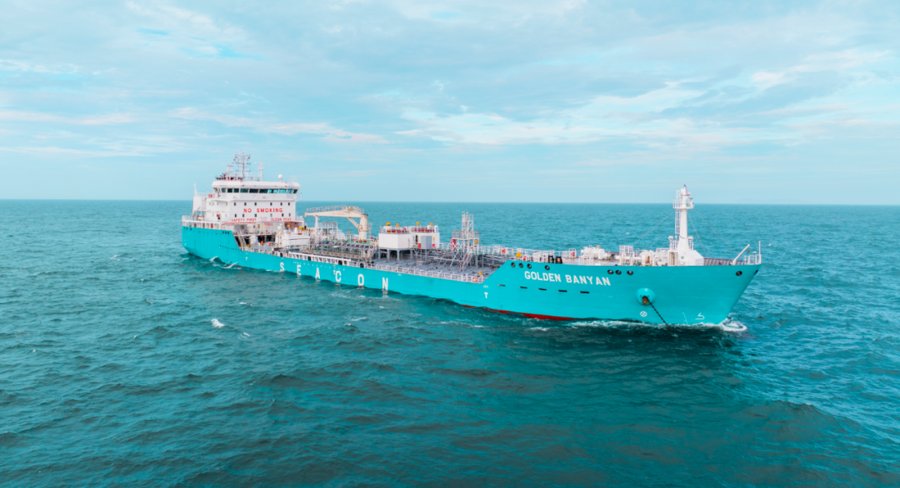 Mersey Arrival: GOLDEN BANYAN       