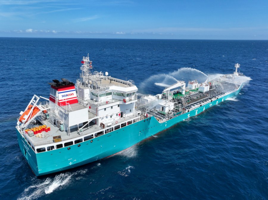 Southampton Arrival: GOLDEN CEDAR        