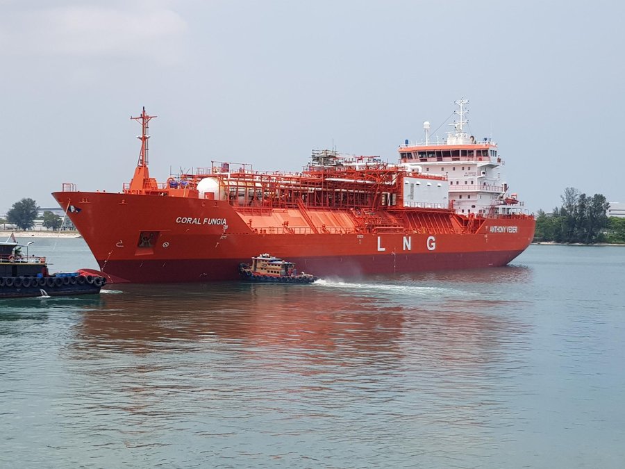 Transit: CORAL FUNGIA entering English South Coast at The Dover Strait