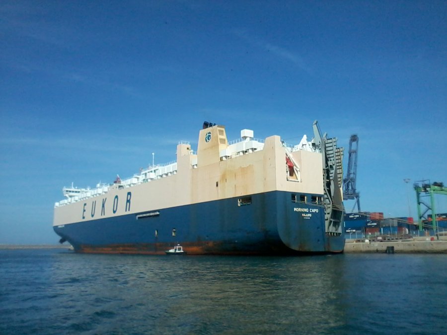 Thames Arrival: MORNING CAPO        