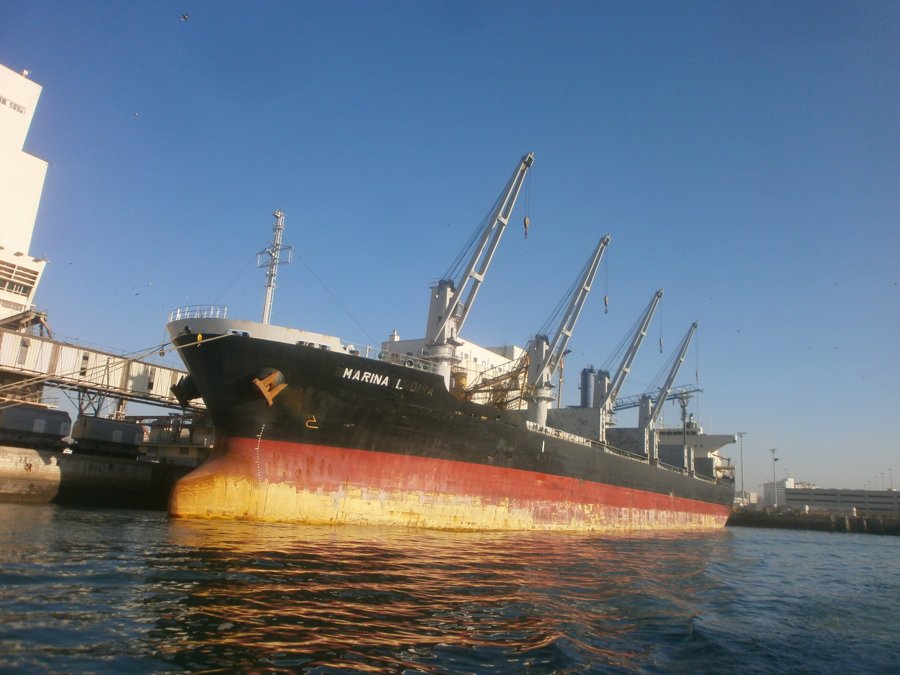  Irish Sea - MARINA L             transiting Irish Sea off Dublin