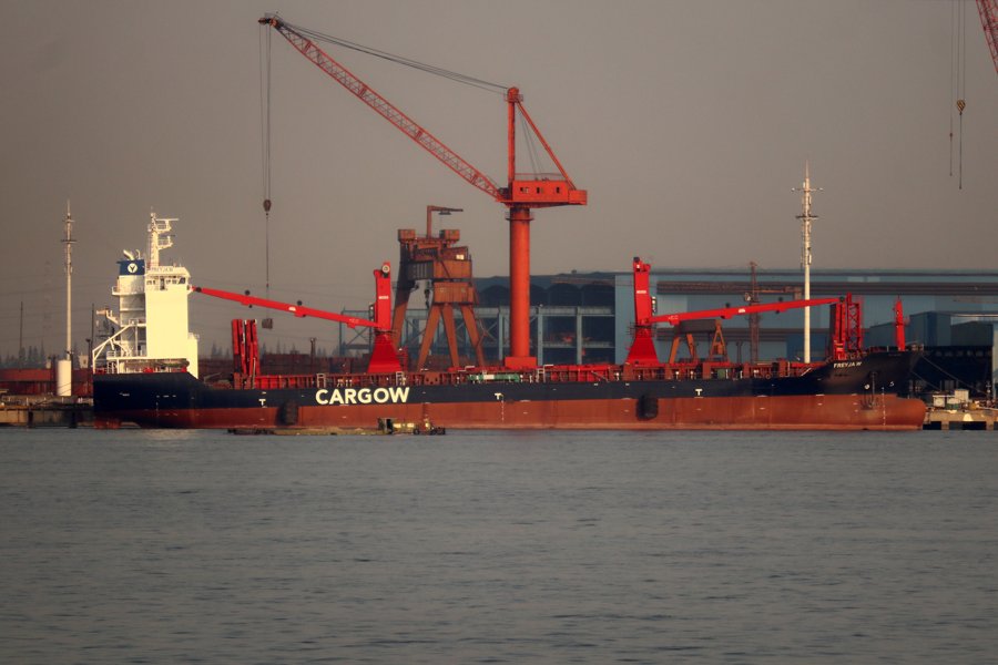  Scottish East Coast - FREYJA W             transiting Dornoch Firth Coast