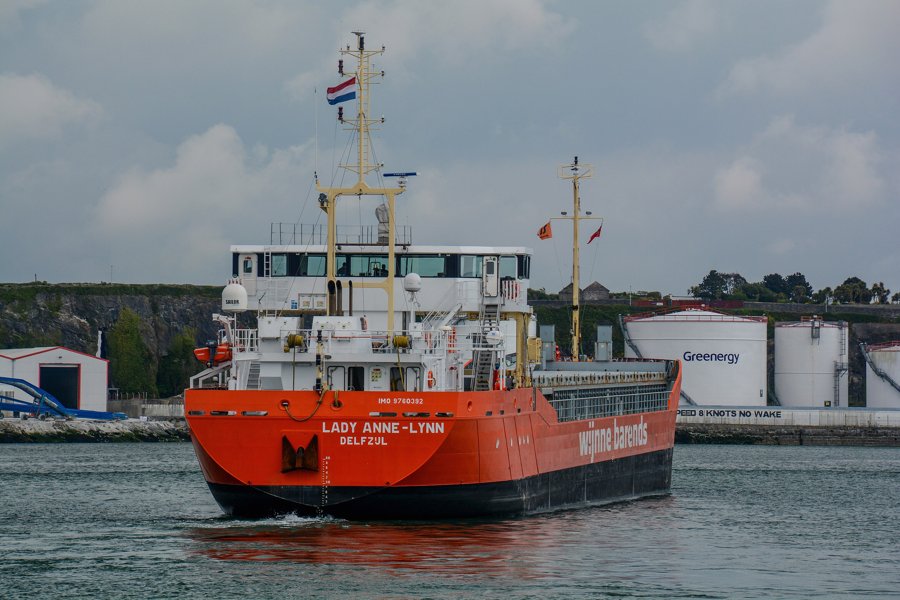 Name Record Updated: LADY ANNE-LYN        -> LADY ANNE-LYNN      